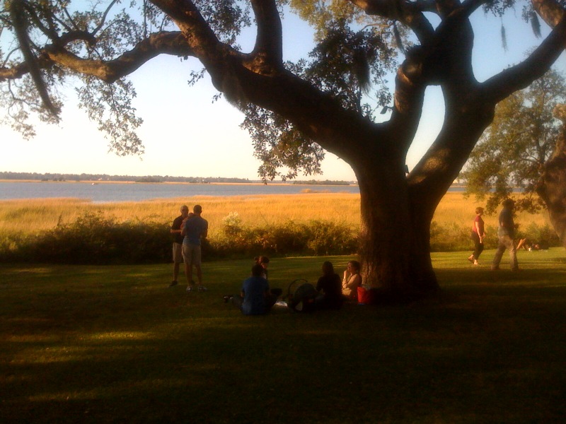 lowcountry