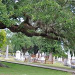magnolia-cemetery-charleston-sc